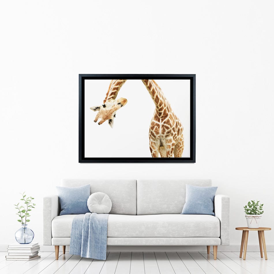 Well Hello There Canvas Print wall art product Lukiyanova Natalia frenta / Shutterstock
