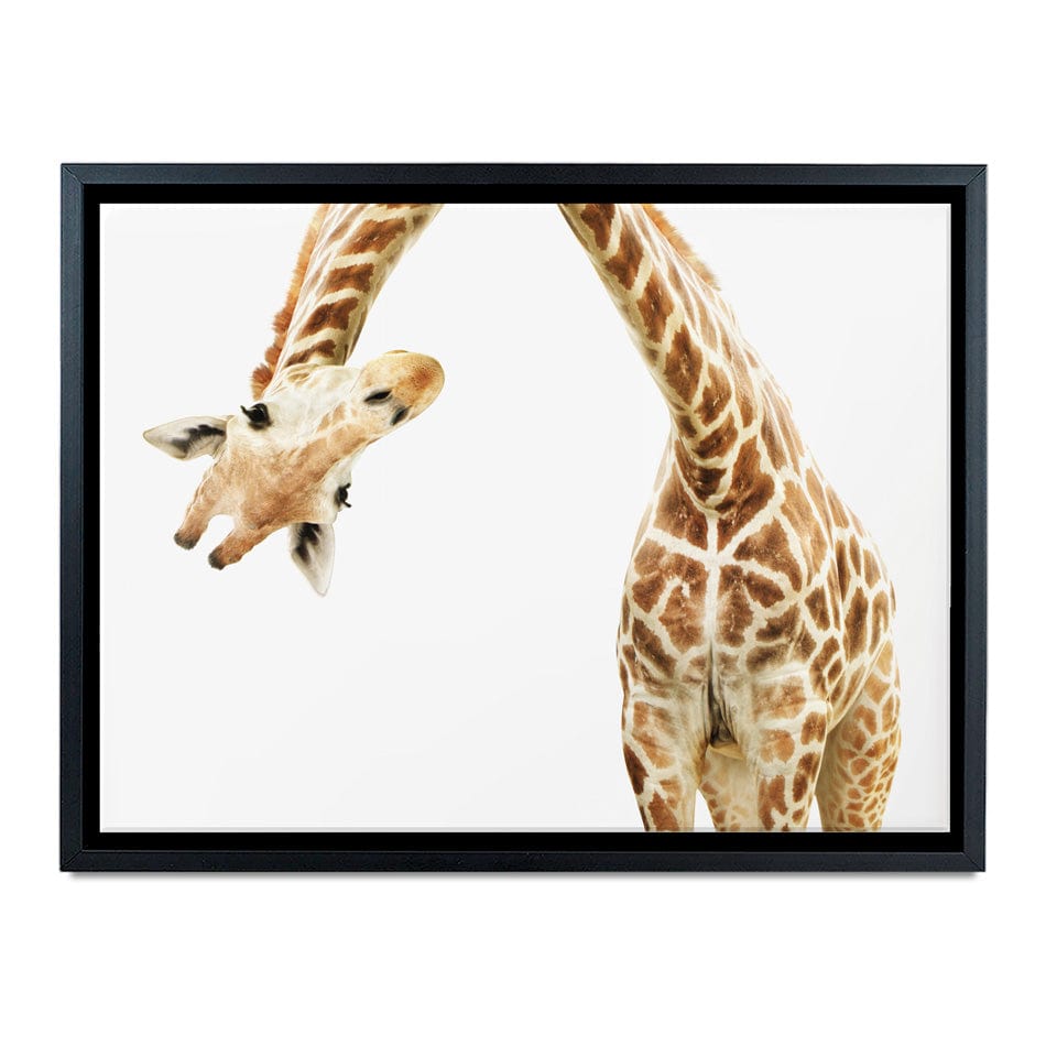 Well Hello There Canvas Print wall art product Lukiyanova Natalia frenta / Shutterstock
