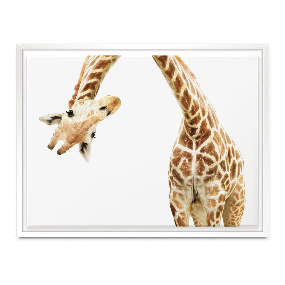 Well Hello There Canvas Print wall art product Lukiyanova Natalia frenta / Shutterstock
