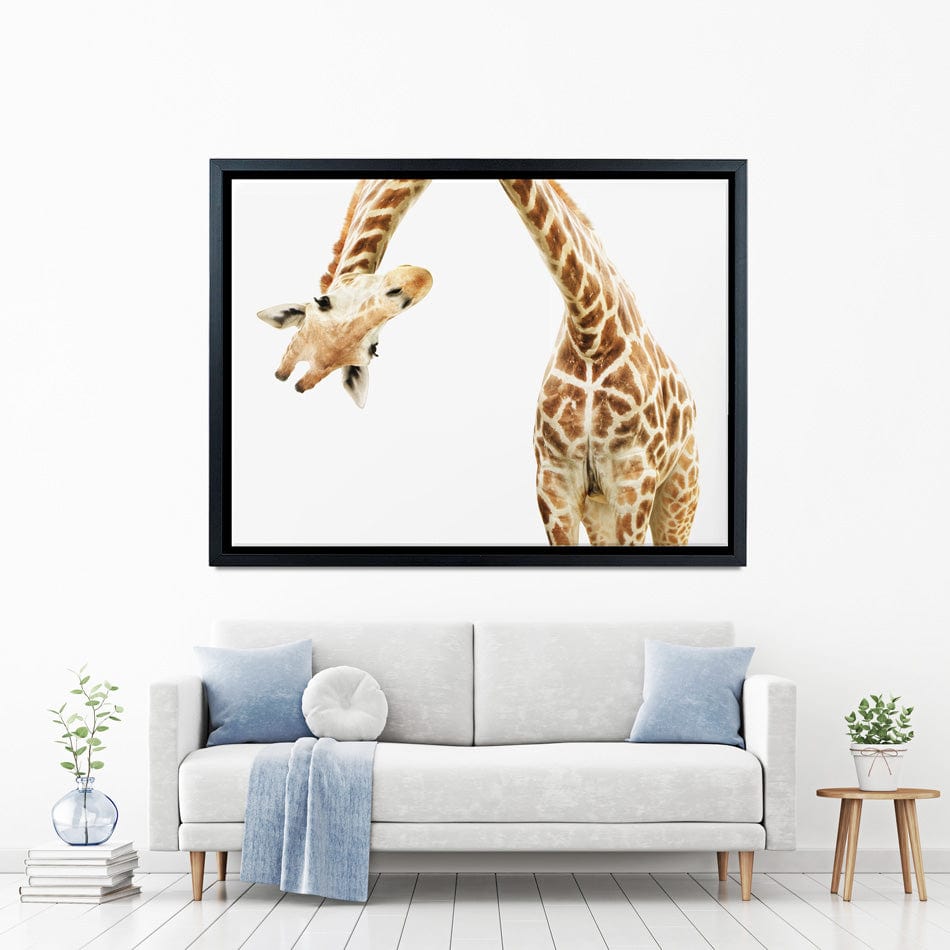 Well Hello There Canvas Print wall art product Lukiyanova Natalia frenta / Shutterstock