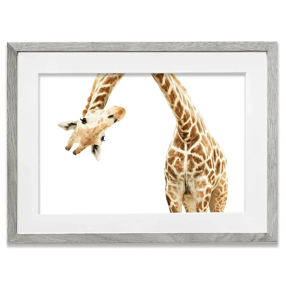 Well Hello There Framed Art Print Well Hello There Framed Art Print wall art product Lukiyanova Natalia frenta / Shutterstock