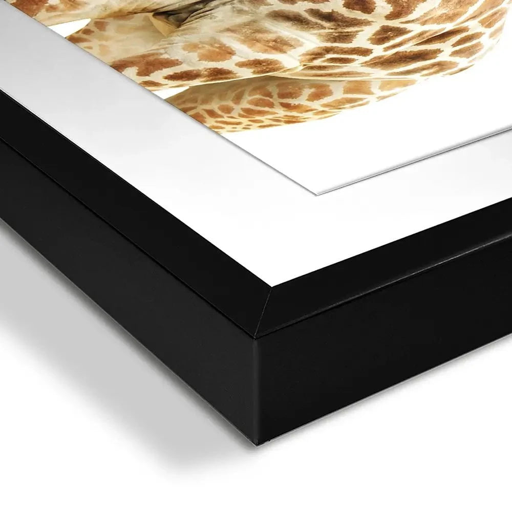 Well Hello There Framed Art Print Well Hello There Framed Art Print wall art product Lukiyanova Natalia frenta / Shutterstock