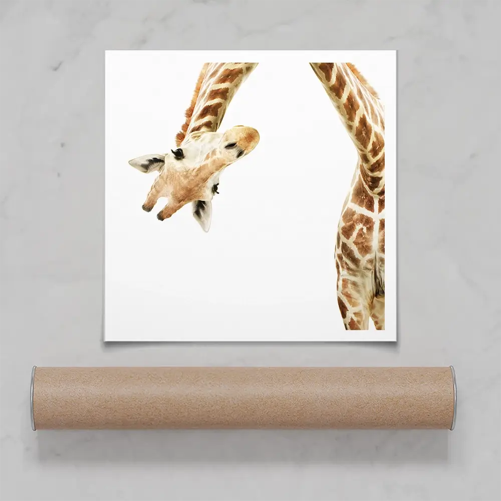Well Hello There Square Art Print Well Hello There Square Art Print wall art product Lukiyanova Natalia frenta / Shutterstock