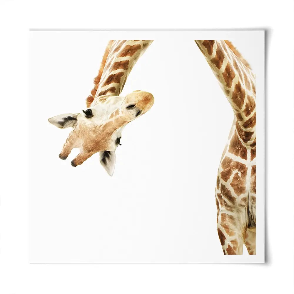 Well Hello There Square Art Print Well Hello There Square Art Print wall art product Lukiyanova Natalia frenta / Shutterstock