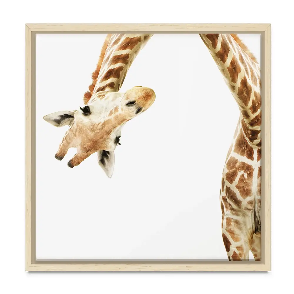Well Hello There Square Canvas Print Well Hello There Square Canvas Print wall art product Lukiyanova Natalia frenta / Shutterstock