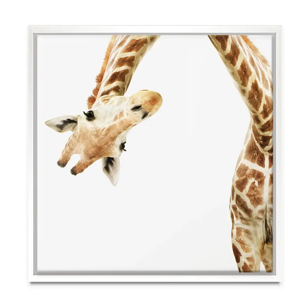 Well Hello There Square Canvas Print Well Hello There Square Canvas Print wall art product Lukiyanova Natalia frenta / Shutterstock