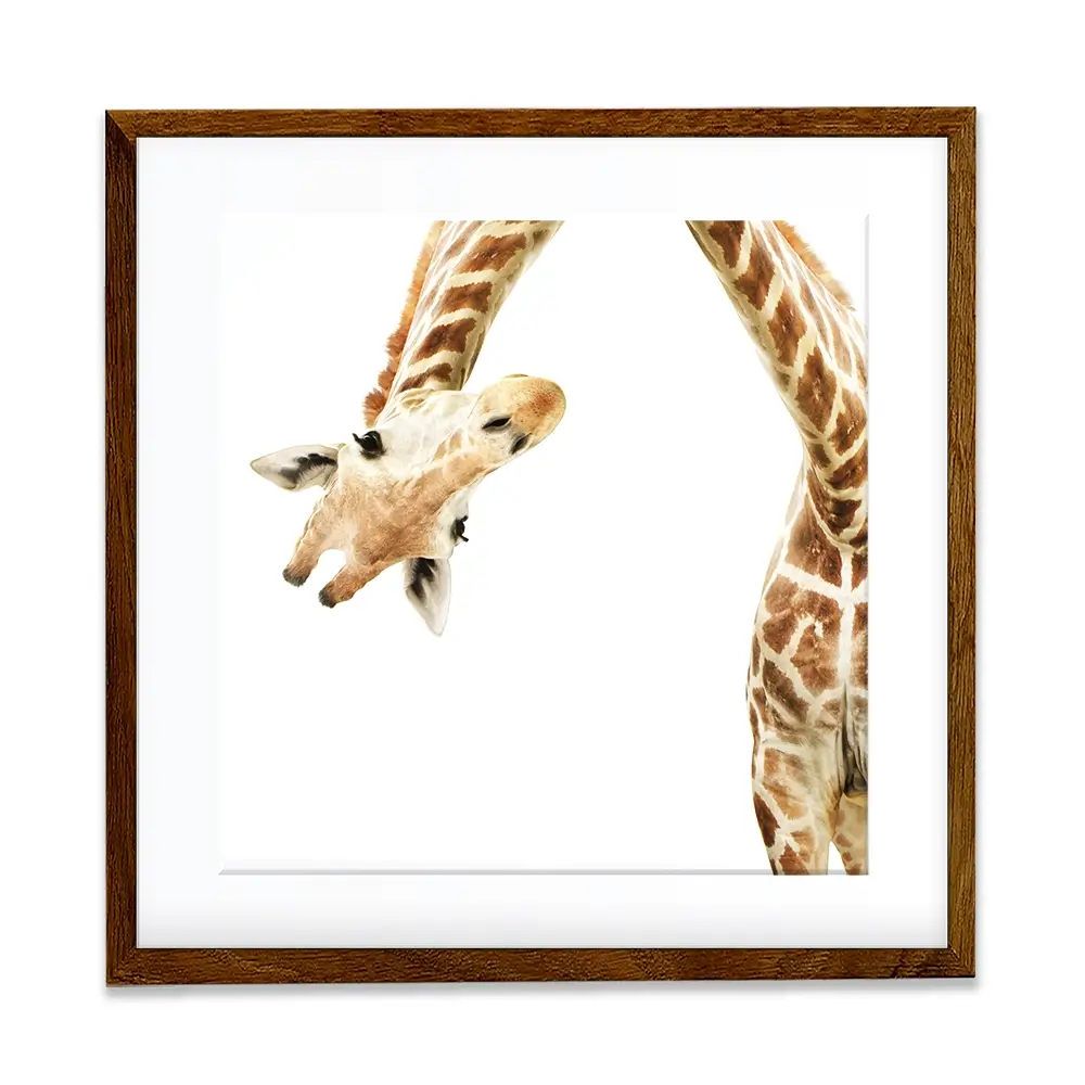 Well Hello There Square Framed Art Print Well Hello There Square Framed Art Print wall art product Lukiyanova Natalia frenta / Shutterstock