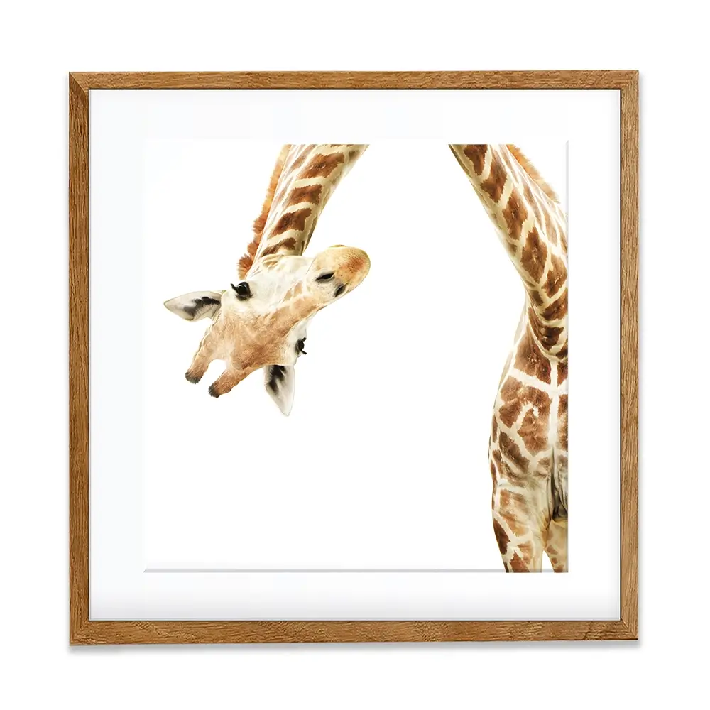 Well Hello There Square Framed Art Print Well Hello There Square Framed Art Print wall art product Lukiyanova Natalia frenta / Shutterstock