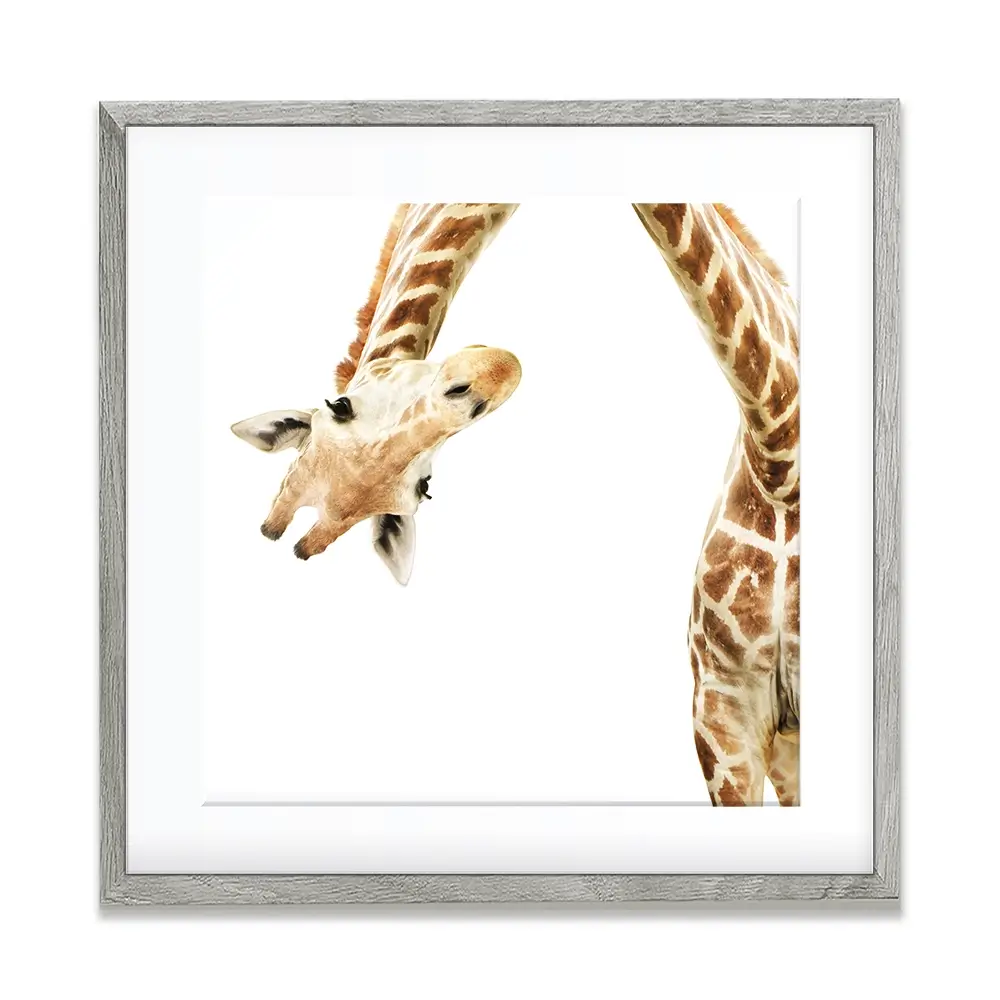 Well Hello There Square Framed Art Print Well Hello There Square Framed Art Print wall art product Lukiyanova Natalia frenta / Shutterstock