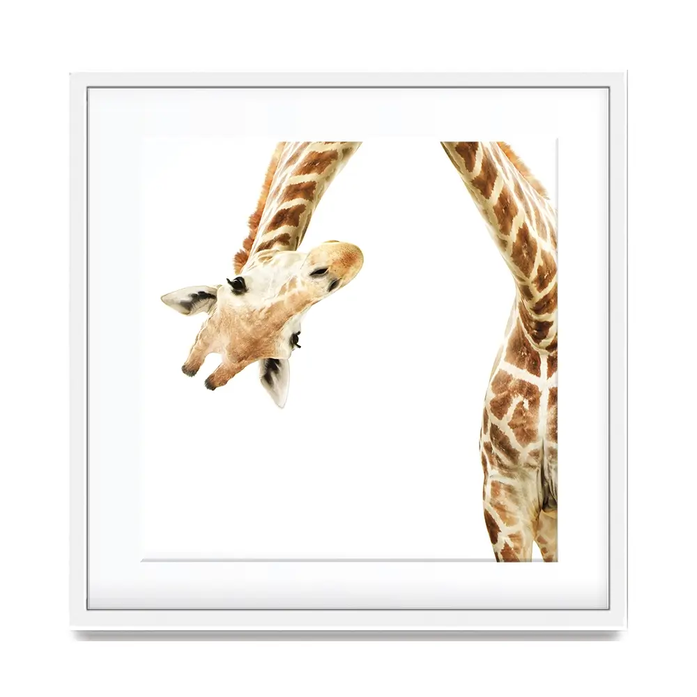 Well Hello There Square Framed Art Print Well Hello There Square Framed Art Print wall art product Lukiyanova Natalia frenta / Shutterstock