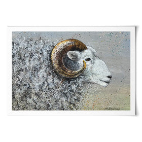 Welsh Mountain Sheep Art Print Welsh Mountain Sheep Art Print wall art product Jane Brookshaw