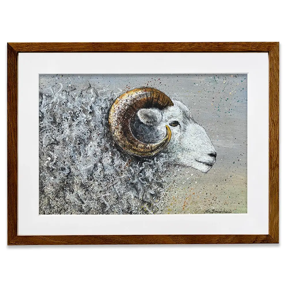 Welsh Mountain Sheep Framed Art Print Welsh Mountain Sheep Framed Art Print wall art product Jane Brookshaw