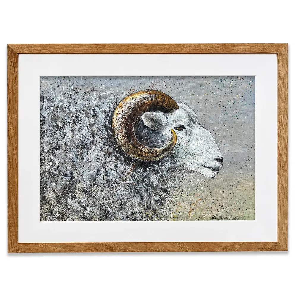 Welsh Mountain Sheep Framed Art Print Welsh Mountain Sheep Framed Art Print wall art product Jane Brookshaw