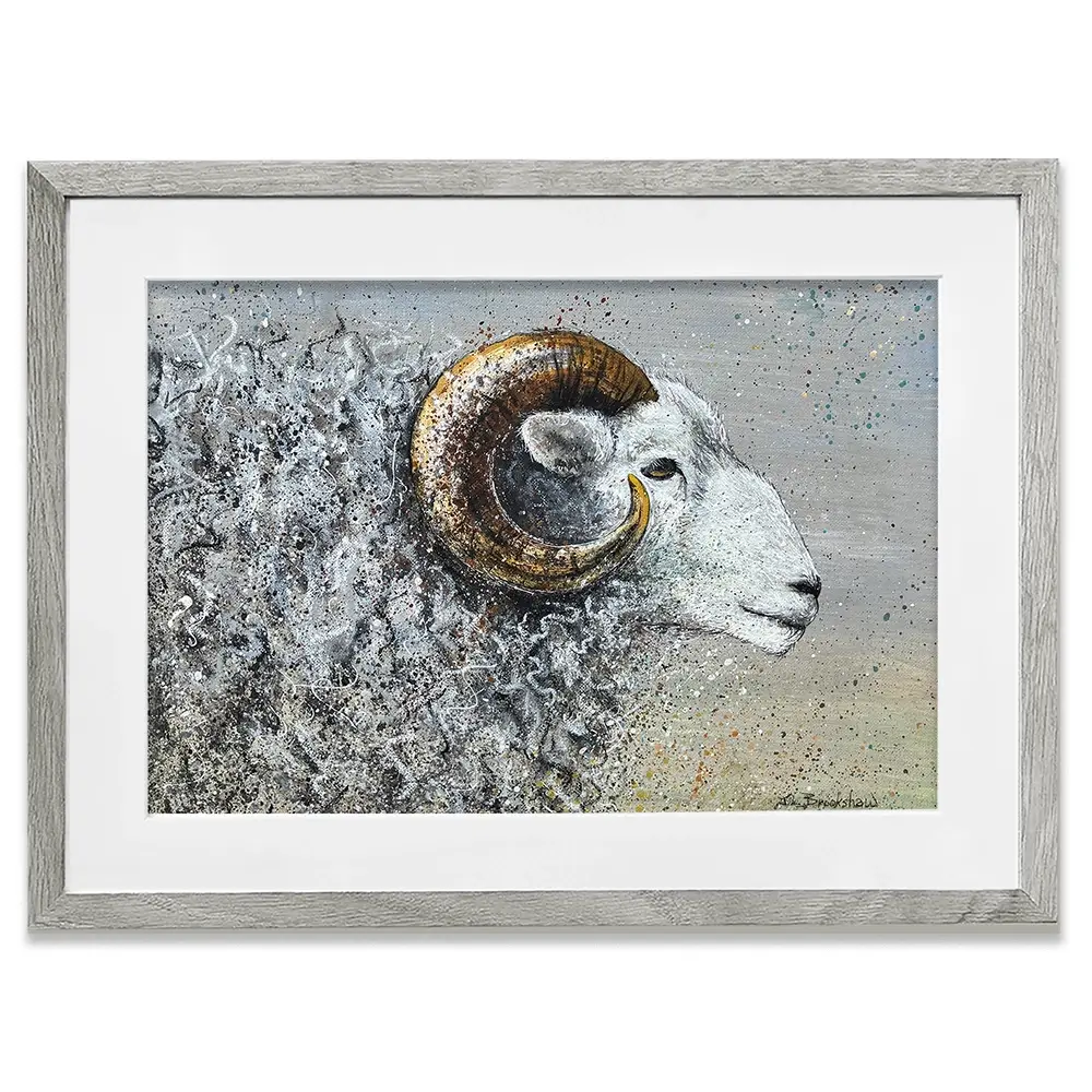 Welsh Mountain Sheep Framed Art Print Welsh Mountain Sheep Framed Art Print wall art product Jane Brookshaw