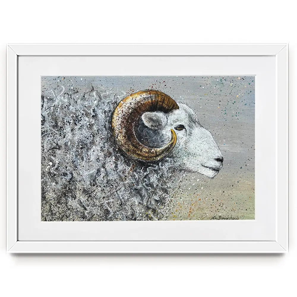 Welsh Mountain Sheep Framed Art Print Welsh Mountain Sheep Framed Art Print wall art product Jane Brookshaw
