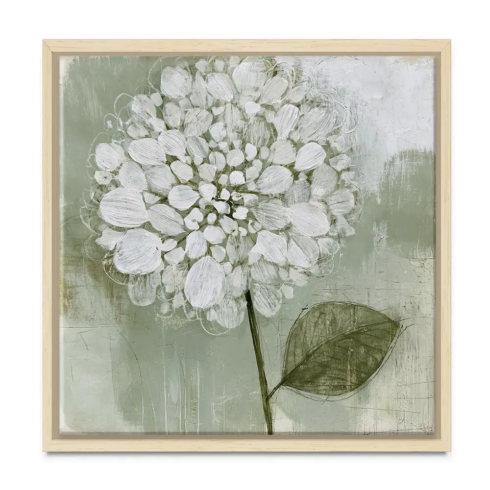 White Dahlia On Sage Square Canvas Print White Dahlia On Sage Square Canvas Print wall art product Chromatic Storm Studio
