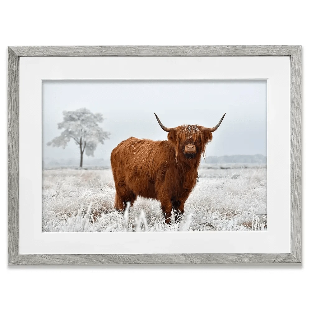 Winter Cow Framed Art Print Winter Cow Framed Art Print wall art product defotoberg / Shutterstock