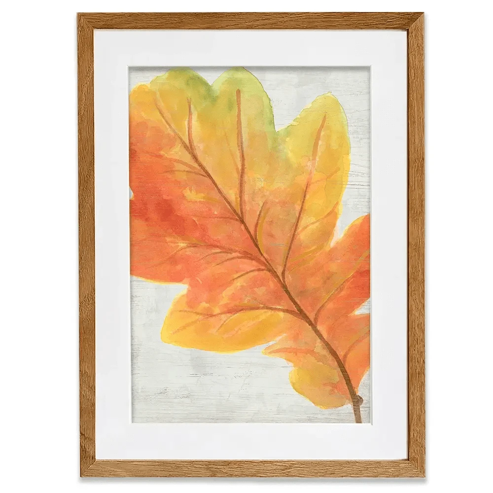 Woodland Colours 2 Framed Art Print Woodland Colours 2 Framed Art Print wall art product June Erica Vess
