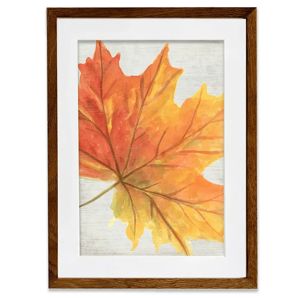 Woodland Colours 3 Framed Art Print Woodland Colours 3 Framed Art Print wall art product June Erica Vess