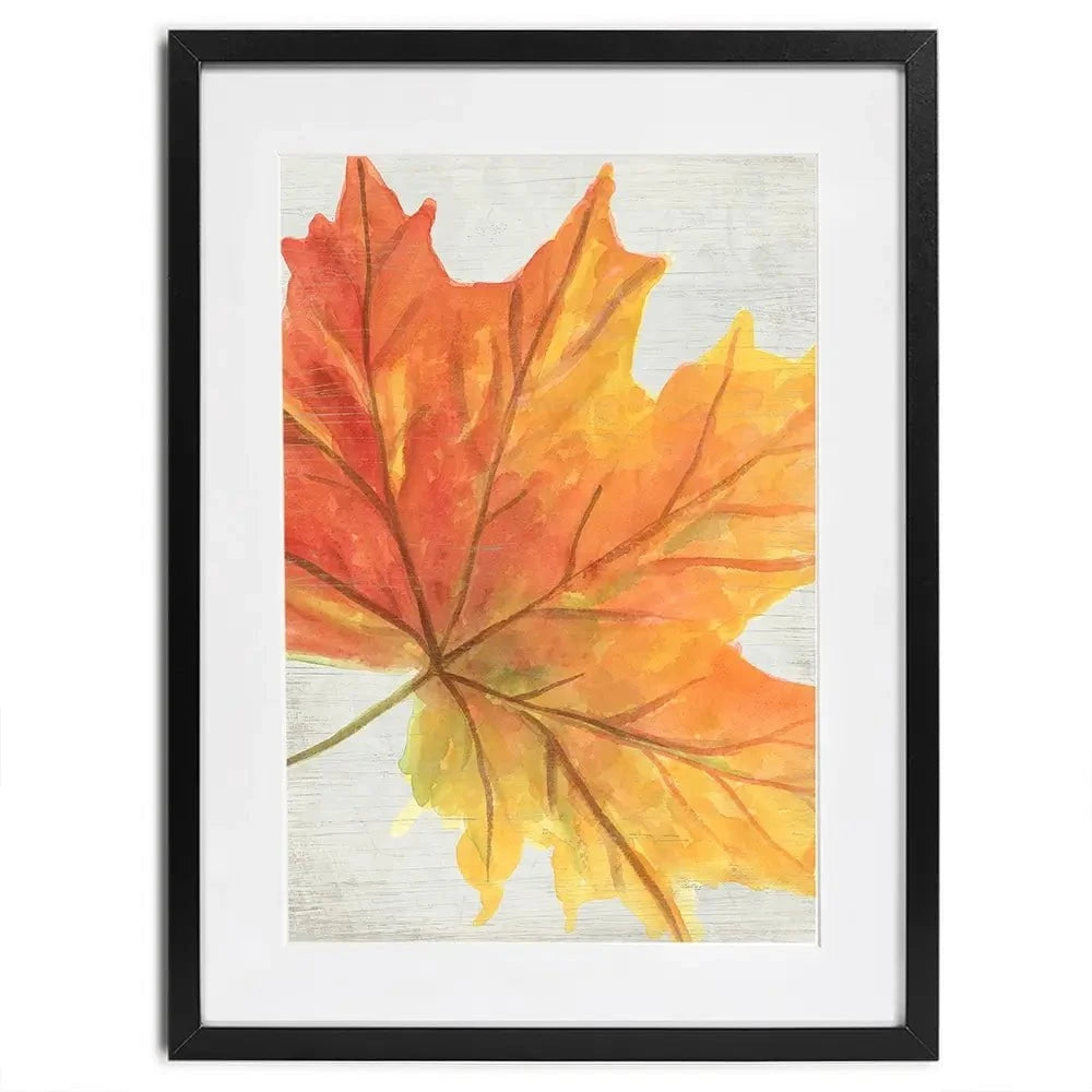 Woodland Colours 3 Framed Art Print Woodland Colours 3 Framed Art Print wall art product June Erica Vess