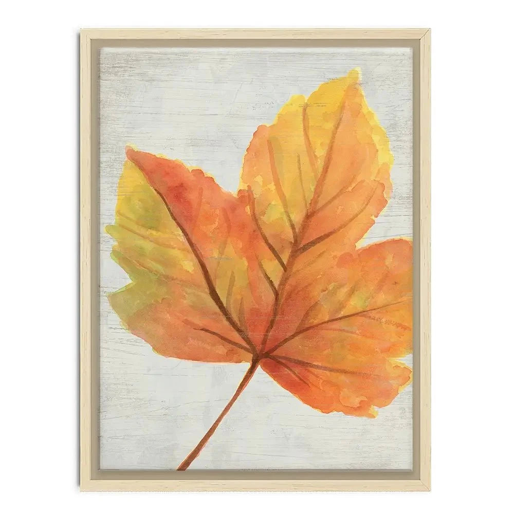 Woodland Colours Canvas Print Woodland Colours Canvas Print wall art product June Erica Vess