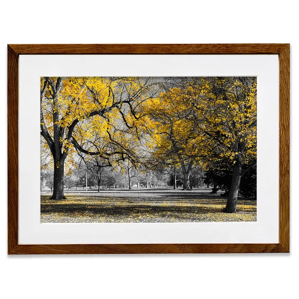 Yellow Blossom Trees Framed Art Print Yellow Blossom Trees Framed Art Print wall art product Ryan DeBerardinis / Shutterstock