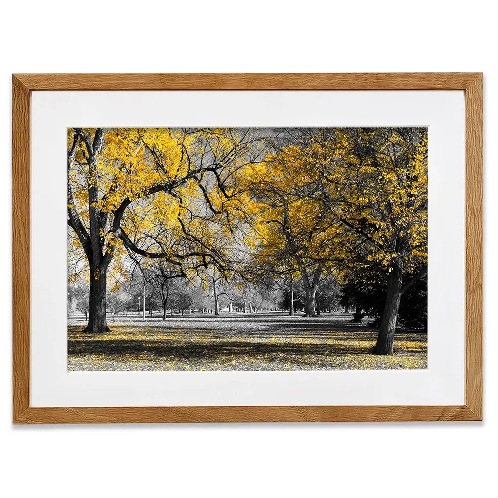 Yellow Blossom Trees Framed Art Print Yellow Blossom Trees Framed Art Print wall art product Ryan DeBerardinis / Shutterstock