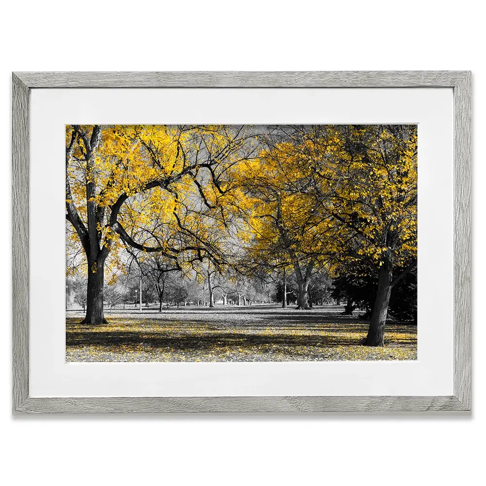 Yellow Blossom Trees Framed Art Print Yellow Blossom Trees Framed Art Print wall art product Ryan DeBerardinis / Shutterstock