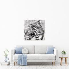 Zebra Pair Canvas Print wall art product Carol Robinson