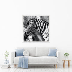 Zebra Square Canvas Print wall art product Mohammadreza Zeidabadi / Shutterstock