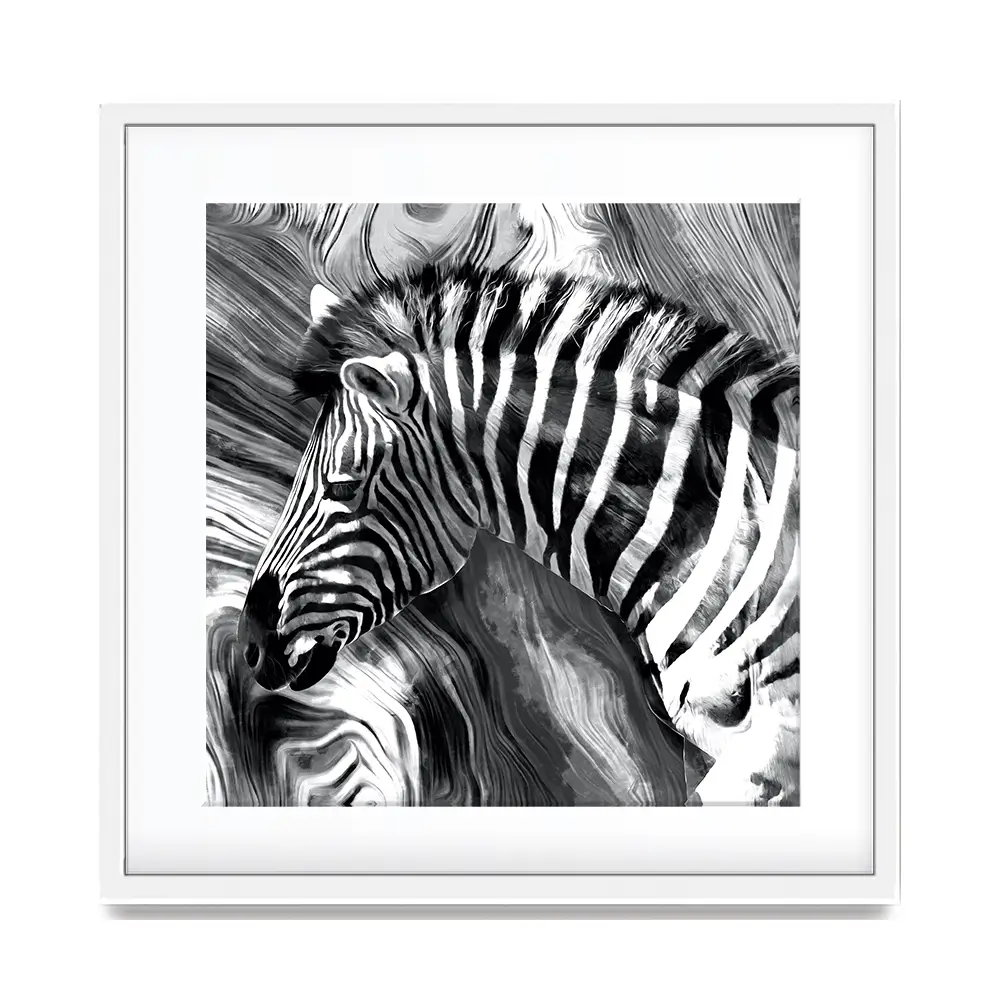 Zebra Square Framed Art Print Zebra Square Framed Art Print wall art product Mohammadreza Zeidabadi / Shutterstock