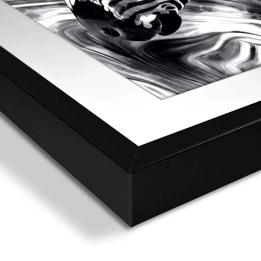 Zebra Square Framed Art Print Zebra Square Framed Art Print wall art product Mohammadreza Zeidabadi / Shutterstock