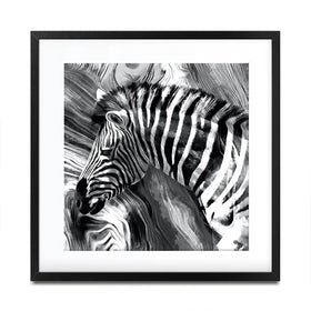 Zebra Square Framed Art Print Zebra Square Framed Art Print wall art product Mohammadreza Zeidabadi / Shutterstock