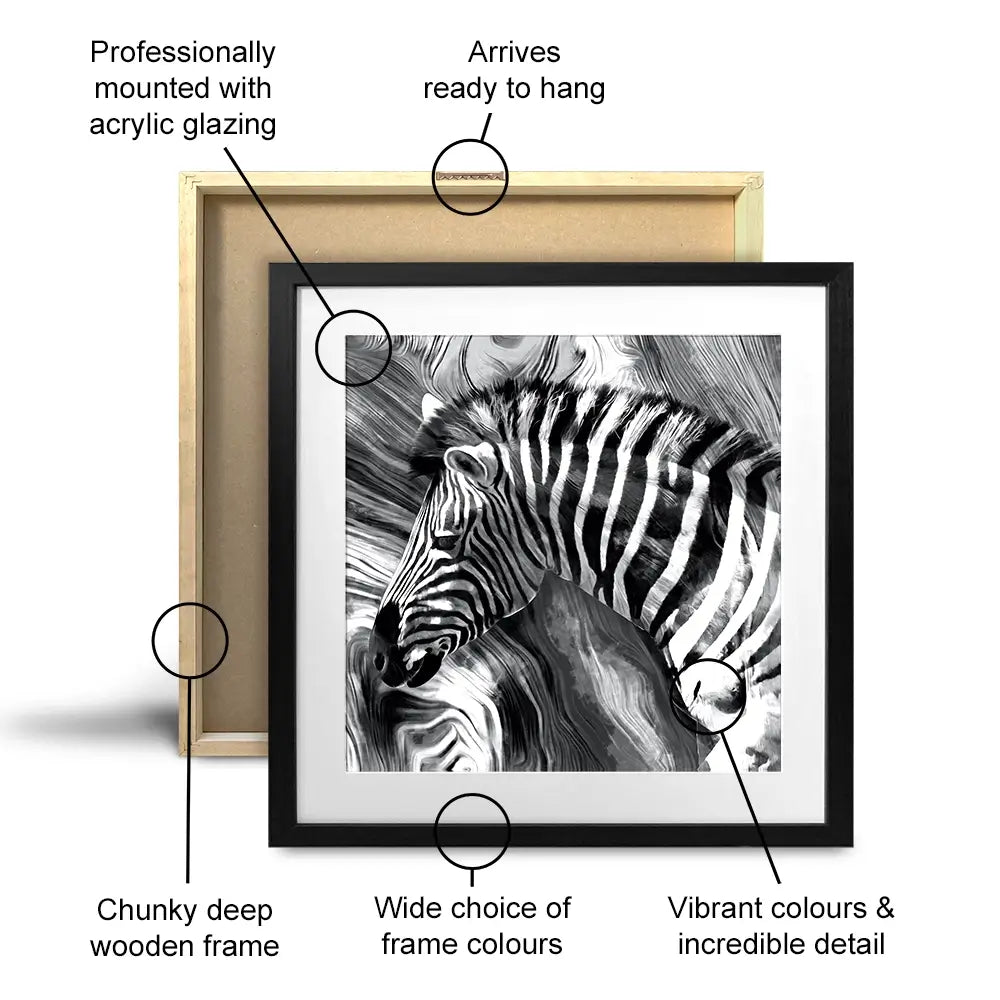 Zebra Square Framed Art Print Zebra Square Framed Art Print wall art product Mohammadreza Zeidabadi / Shutterstock
