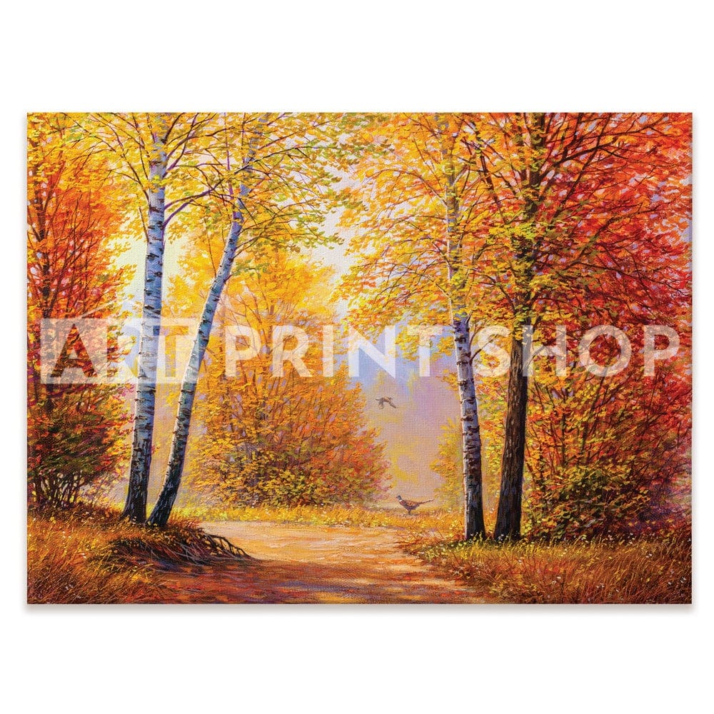 Autumn Forest 2 Canvas Print wall art product S-BELOV / Shutterstock
