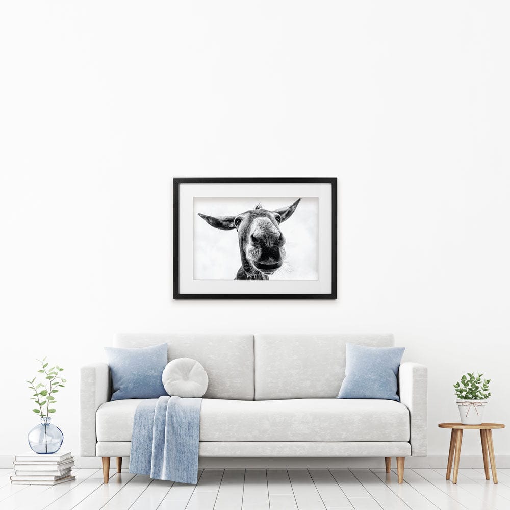 Black And White Donkey Framed Art Print wall art product COLOMBO NICOLA / Shutterstock