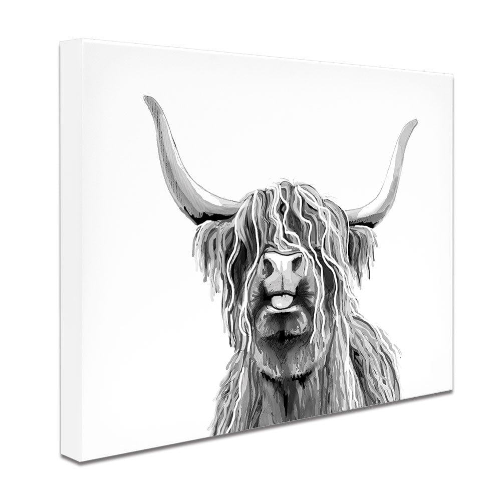 black and white highland cow art