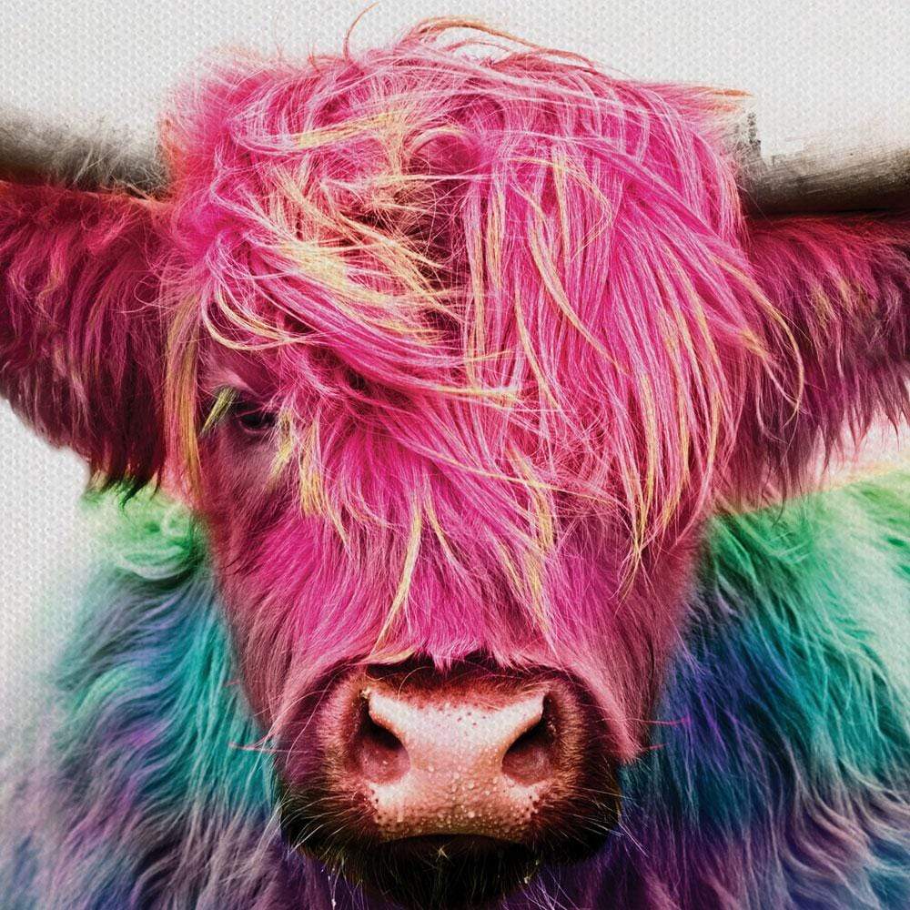 Colourful Pink Highland Cow Canvas Print wall art product Patricia Chumillas / Shutterstock