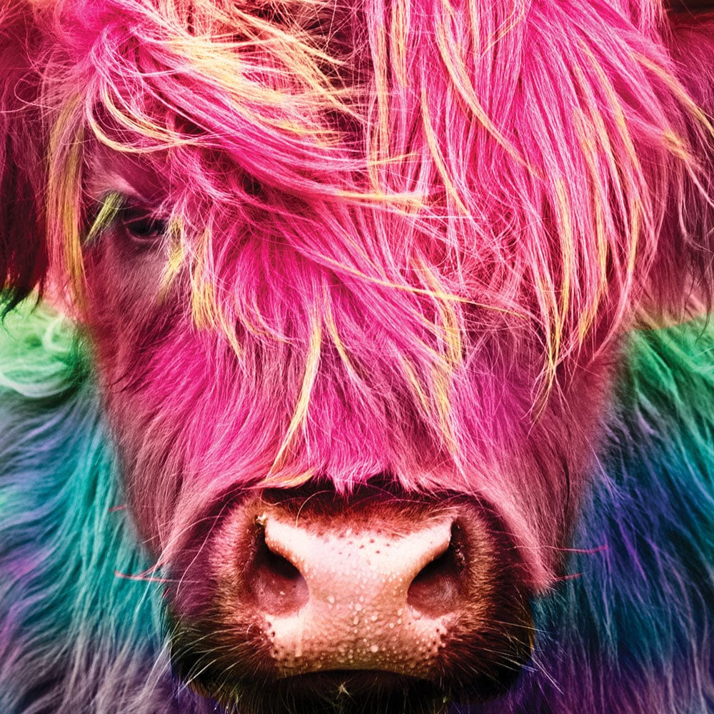 Colourful Pink Highland Cow Framed Art Print wall art product Patricia Chumillas / Shutterstock