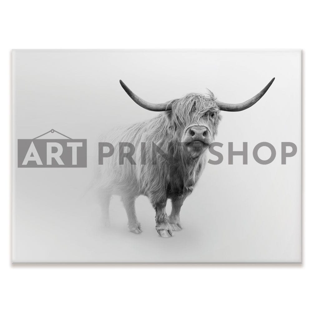 Cow In The Fog Canvas Print wall art product Effect of Darkness / Shutterstock