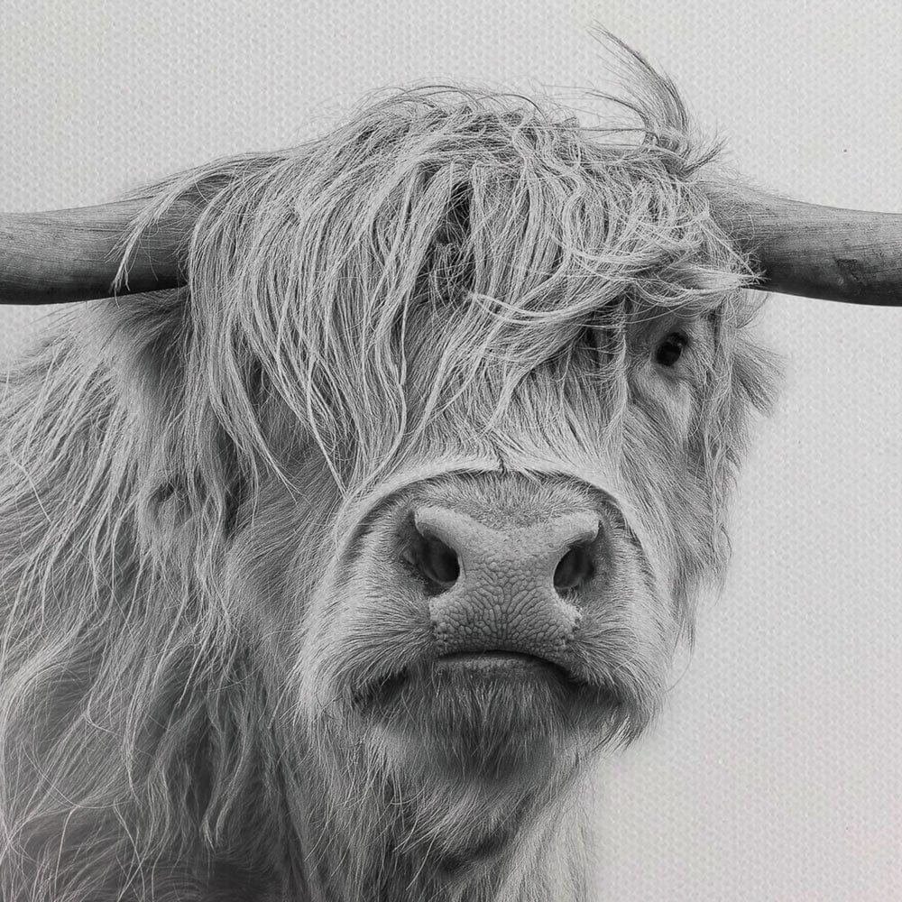 Cow In The Fog Canvas Print wall art product Effect of Darkness / Shutterstock