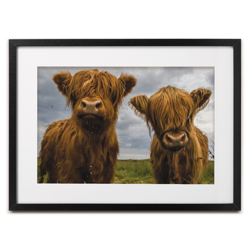 Double Trouble Framed Art Print wall art product JCurrie / Shutterstock
