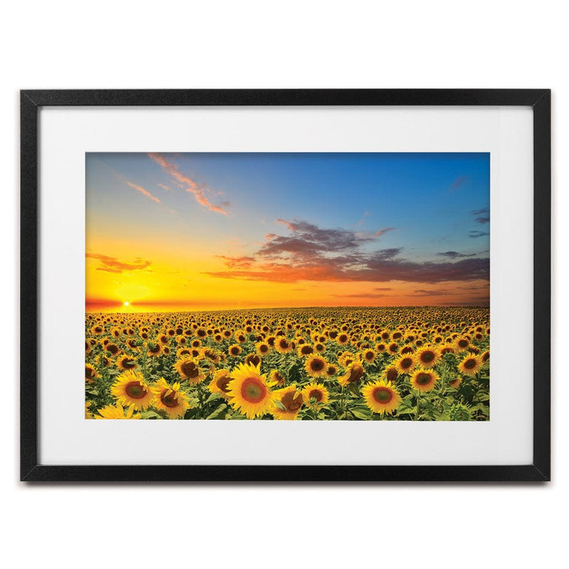 Deep Framed Sunflowers Canvas Wall Art – Yellow & Green Floral Print