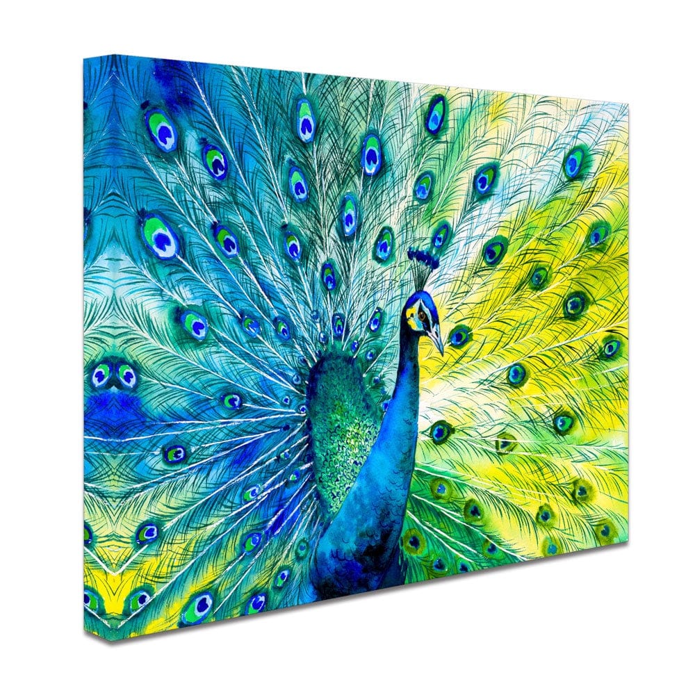 Peacock Power Canvas Print wall art product CYC / Shutterstock