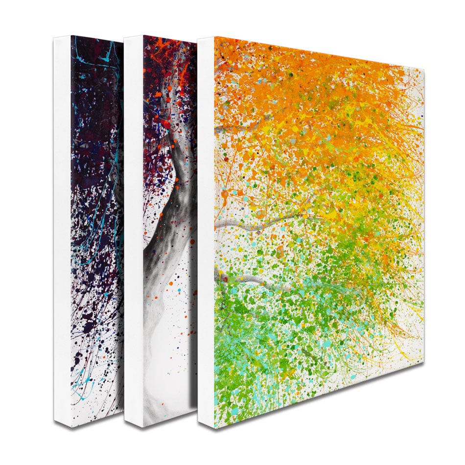 Rainbow Seasons Tree Trio Canvas Print wall art product Ashvin Harrison