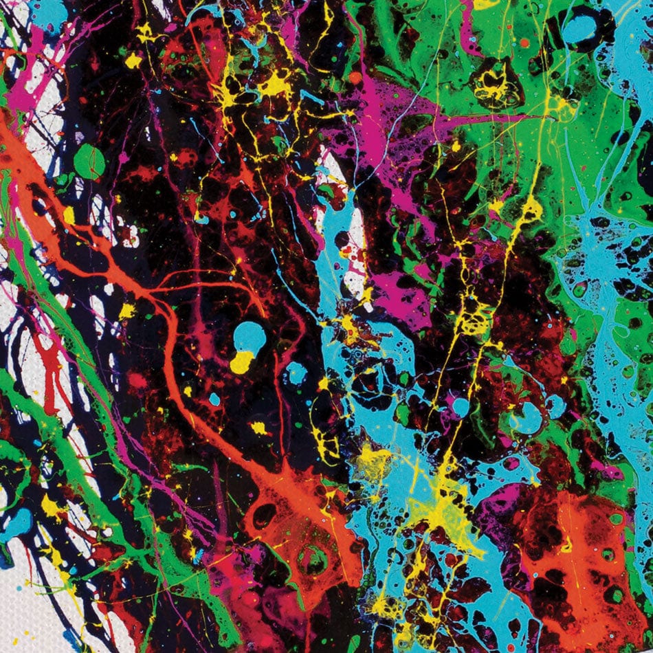 Shake It Canvas Print wall art product Ashvin Harrison