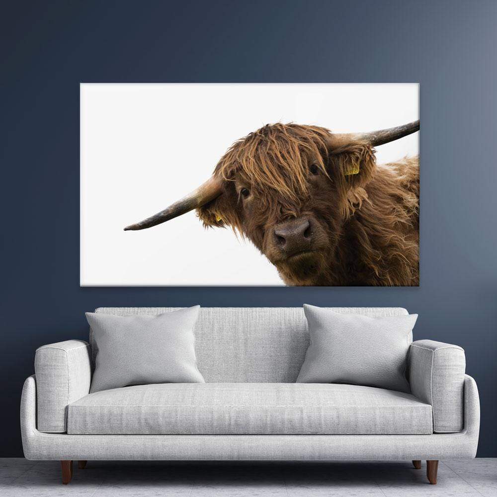Side Peeking Highland Cow Canvas Print wall art product Massimo Cavallo / Shutterstock