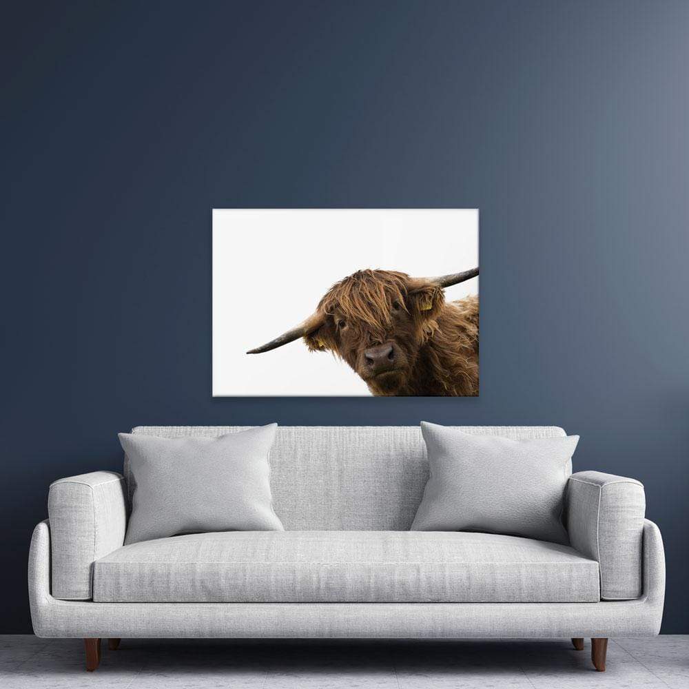 Side Peeking Highland Cow Canvas Print wall art product Massimo Cavallo / Shutterstock