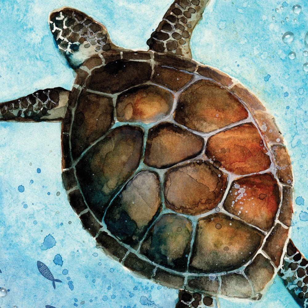 Swimming Turtle Framed Art Print wall art product Tarasova Mariya / Shutterstock