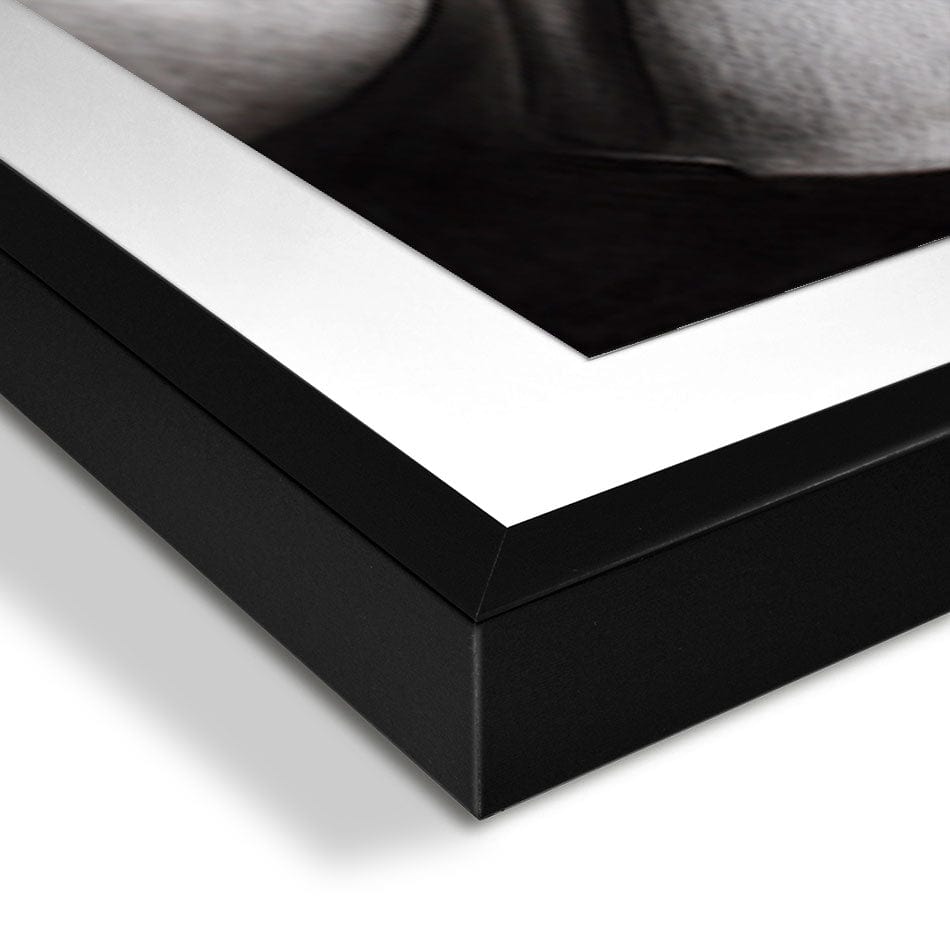 The Violin Solo Framed Art Print wall art product Ashvin Harrison